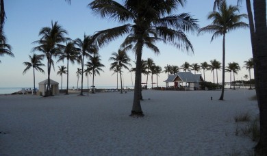 Miami and the Gulf Coast