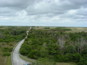 The Loop Trail at Shark Valley, Everglades National Park