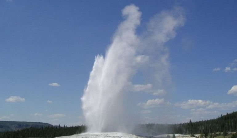 Yellowstone Our Top Picks