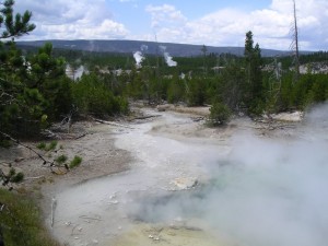 Norris geyser basin