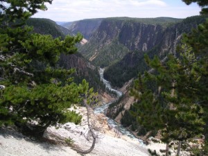 View of the Yellowstone River flowing through a deep canyon, Yellowstone National Park