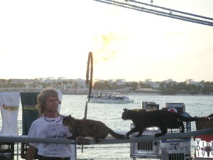 Dominique and his Flying House Cats performing at the sunset celebrations, Key West, Florida