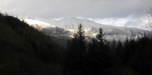 View from a hike in Whinlatter Forest