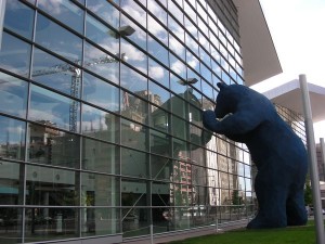 Bear checking out the Convention Center, Denver